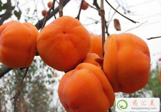Ӻʲôʳ˲һ