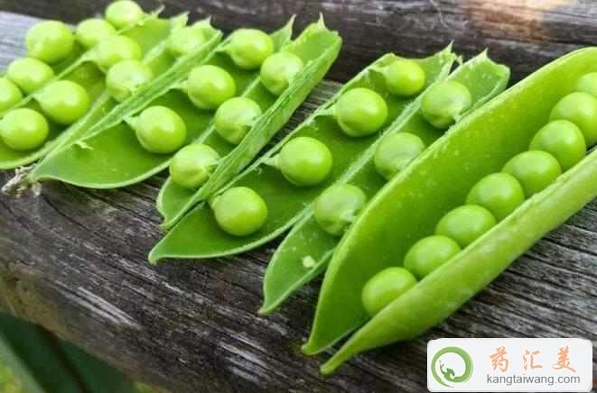 ׳Ժܳ㶹
