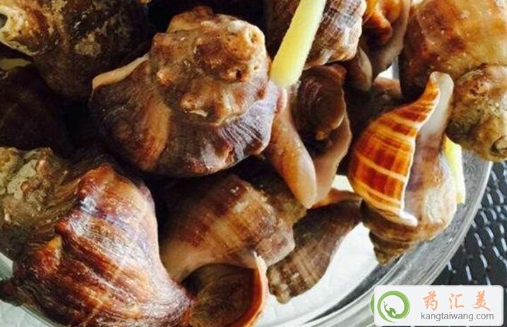 紅螺和什么食物相克不能一起吃 紅螺和什么食物相克不能一起吃