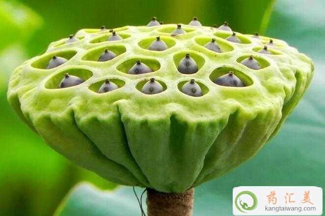 ׻֏ܳɏ
