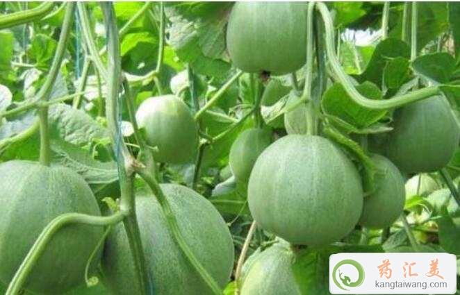 ׻֏ܲܳ