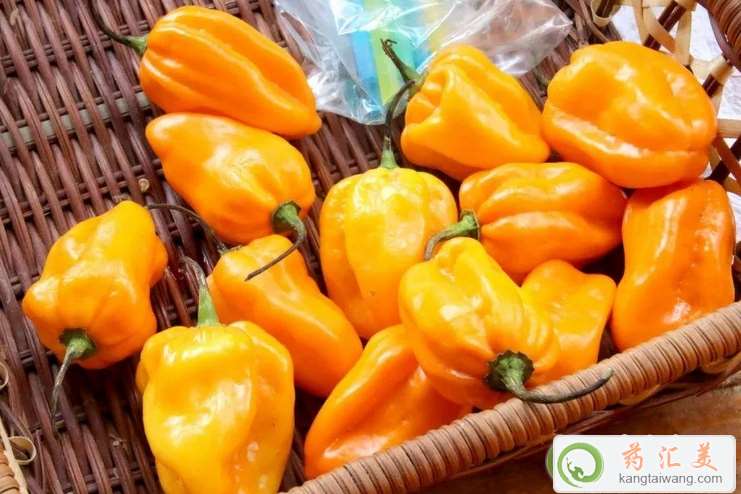 菜椒的功效 菜椒的功效